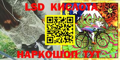 спайс Коммунар