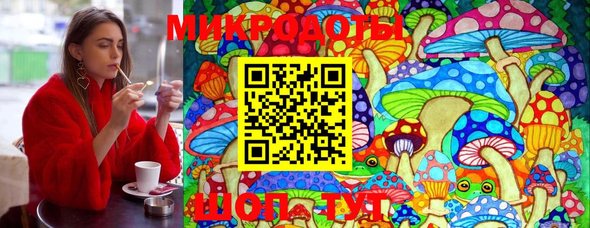 Галлюциногенные грибы GOLDEN TEACHER  Псилоцибиновые грибы Magic Shrooms  Вход с VPN  купить наркотики цена  Камышлов 