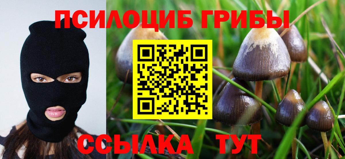Галлюциногенные грибы Magic Shrooms Камышлов